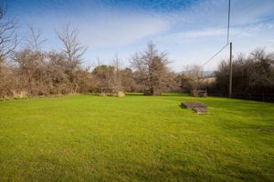 Garden- click for photo gallery